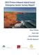 2015 Prince Edward Island Social Enterprise Sector Survey Report Peter R Elson Peter Hall Steve McQuaid Priscilla Wamucii