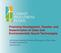 Financing Development, Transfer, and Dissemination of Clean and Environmentally Sound Technologies