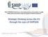 Strategic thinking across the EU through the eyes of SHIPSAN
