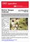 Bolivia: Dengue Outbreak