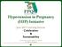 Hypertension in Pregnancy (HIP) Initiative. June 2017 Learning Session: Celebration & Sustainability