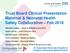 Trust Board Clinical Presentation Maternal & Neonatal Health Safety Collaborative Feb 2018