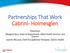 Partnerships That Work Cabrini- Holmesglen