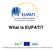 What is EUPATI? The EUPATI project receives support from the European Union (IMI JU) and EFPIA companies