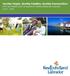 Healthy People Healthy Families Healthy Communities: A Primary Health Care Framework for Newfoundland and Labrador