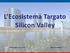 L Ecosistema Targato Silicon Valley