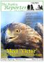Meet Victor. Reporter. The Ripley. Camp Ripley s latest Golden Eagle. Vol. 11, Issue 3. In This Issue Golden Eagle Capture & Release Pg.