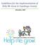 Guidelines for the Implementation of Help Me Grow in Cuyahoga County. November, 2010