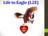 Troop 1145 Eagle Advisor SM Hanford
