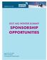 2017 AIG WINTER SUMMIT SPONSORSHIP OPPORTUNITIES
