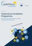 Copernicus Incubation Programme