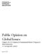 Public Opinion on Global Issues. Chapter 12b: U.S. Opinion on Transnational Threats: Weapons of Mass Destruction