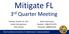 Mitigate FL. 3 rd Quarter Meeting. Audio Information Number: Passcode: