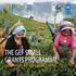 THE GEF SMALL GRANTS PROGRAMME COMMUNITY ACTION GLOBAL IMPACT