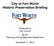 City of Fort Worth Historic Preservation Briefing. Presented to City Council By the Planning and Development Department