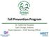 Fall Prevention Program. St. Catherine Hospital East Chicago, Indiana Paula Swenson Chief Nursing Officer