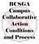 BCSGA Campus Collaborative Action Conditions and Process