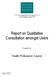 Report on Qualitative Consultation amongst Users