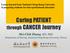 Caring PATIENT. through CANCER Journey. Mei-Chih Huang, RN, PhD