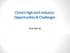 China s High-tech Industry: Opportunities & Challenges. Prof. Gan Jie