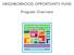 NEIGHBORHOOD OPPORTUNITY FUND Program Overview