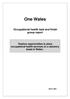 One Wales. Occupational health task and finish group report