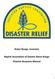 Baton Rouge, Louisiana. Baptist Association of Greater Baton Rouge Disaster Response Manual