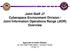 Joint Staff J7 Cyberspace Environment Division / Joint Information Operations Range (JIOR) Overview