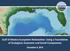 Gulf of Mexico Ecosystem Restoration: Using a Foundation of Ecological, Economic and Social Components December 6, 2016