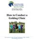 How to Conduct a Gelding Clinic