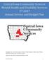 Central Iowa Community Services Mental Health and Disability Services FY 2017 Annual Service and Budget Plan